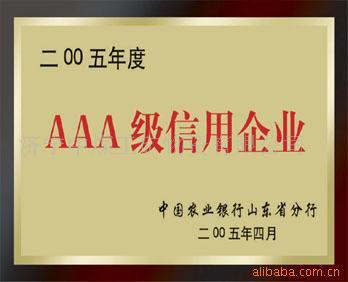 AEG电动工具南方销售部企业信用评估深度解析